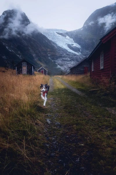 Cabins: Kira In Wonderland by Fredrik Strømme