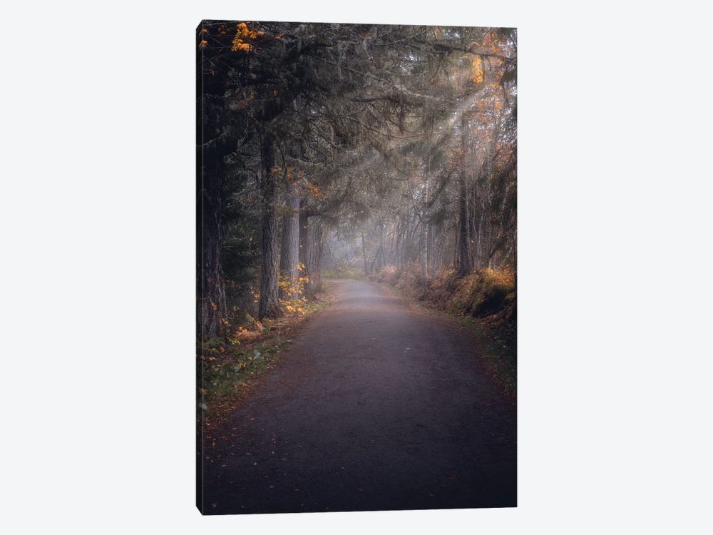 Misty Pathway by Fredrik Strømme 1-piece Canvas Artwork