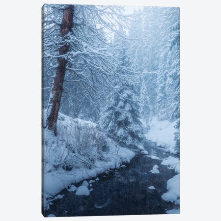 Winter Storm Canvas Print #FKS38} by Fredrik Strømme Canvas Art