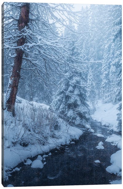 Winter Storm Canvas Art Print - Fredrik Strømme