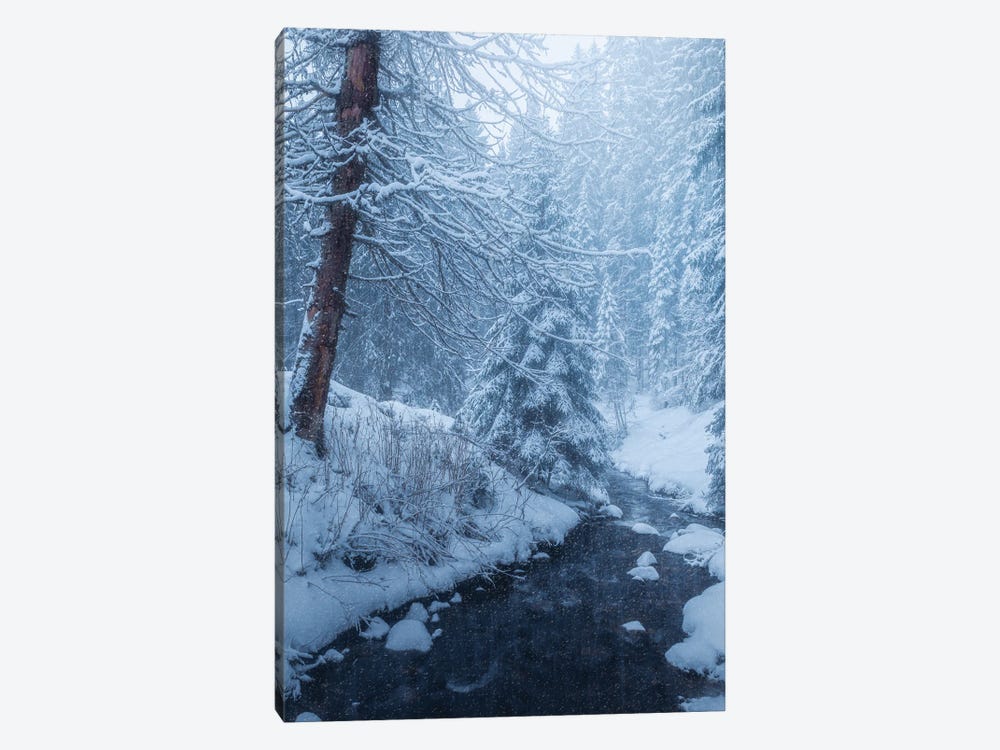 Winter Storm by Fredrik Strømme 1-piece Canvas Art Print