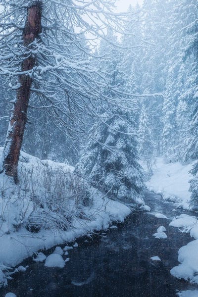 Fredrik Strømme: Winter Storm by Fredrik Strømme