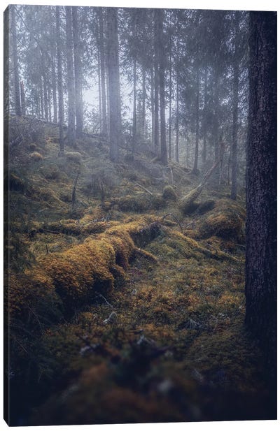 Woodland Chaos Canvas Art Print - Fredrik Strømme
