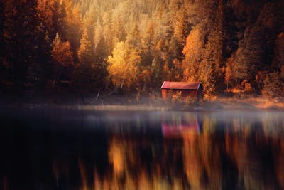 Autumn Reflection by Fredrik Strømme art print