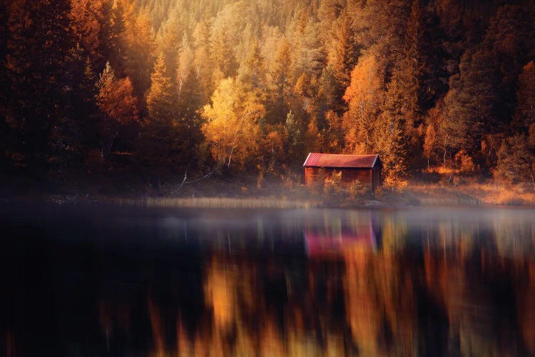 Autumn Reflection by Fredrik Strømme wall art