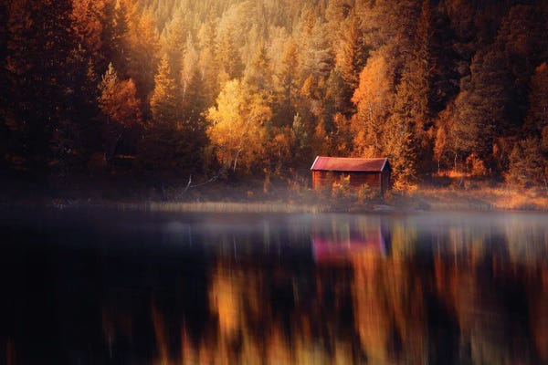 Norway: Autumn Reflection by Fredrik Strømme
