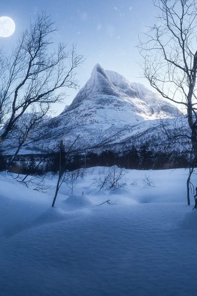 Winter Blues by Fredrik Strømme canvas print
