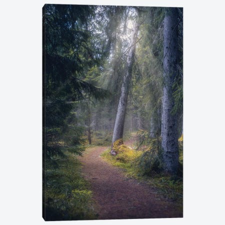 A Light In The Forest Canvas Print #FKS62} by Fredrik Strømme Canvas Print
