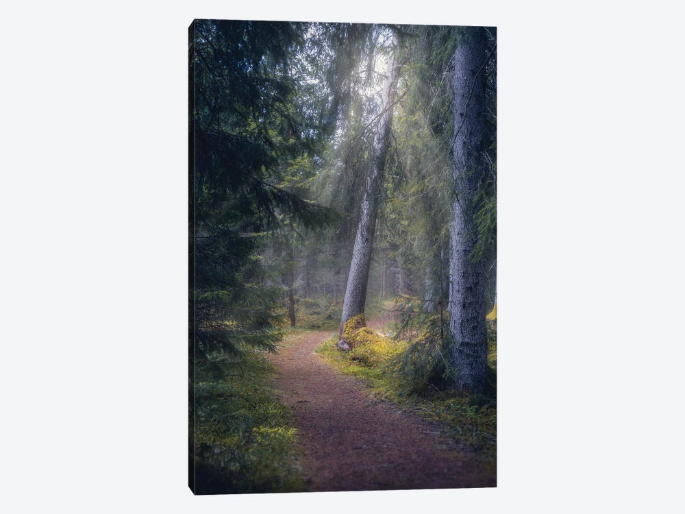 A Light In The Forest by Fredrik Strømme 1-piece Canvas Art