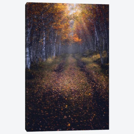 Autumn Path Canvas Print #FKS75} by Fredrik Strømme Canvas Art Print