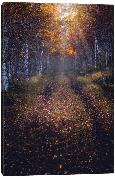 Autumn Path Canvas Art Print - Fredrik Strømme