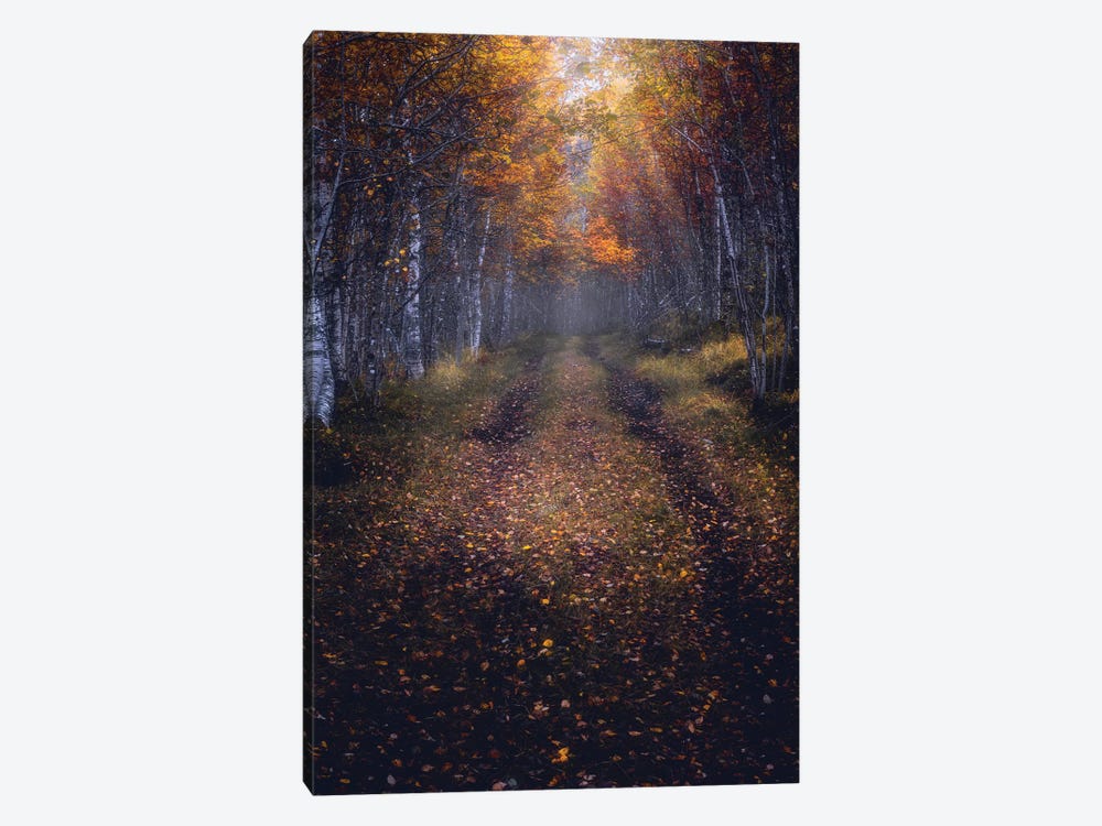 Autumn Path by Fredrik Strømme 1-piece Canvas Art