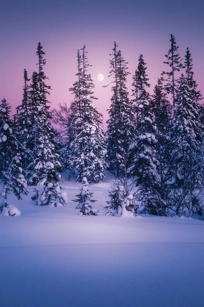 Winter Delight by Fredrik Strømme canvas print