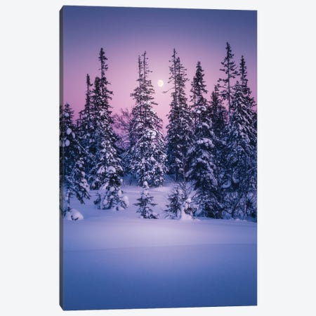 Winter Delight Canvas Print #FKS76} by Fredrik Strømme Art Print