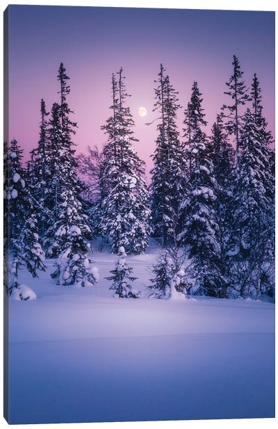 Winter Delight Canvas Art Print - Fredrik Strømme