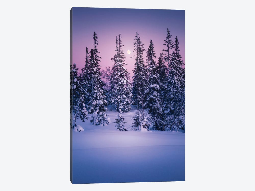 Winter Delight by Fredrik Strømme 1-piece Art Print