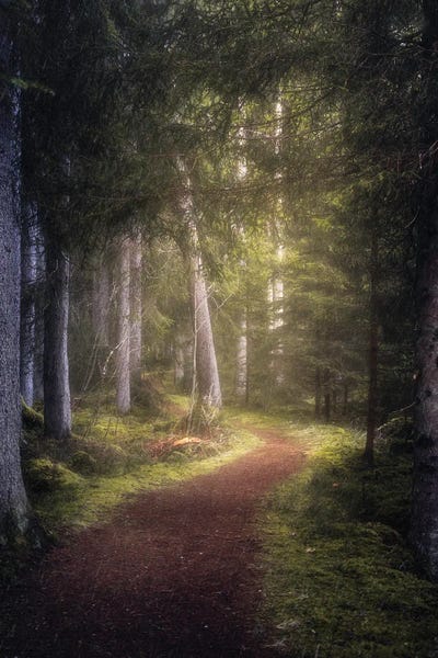 The Enchanted Path by Fredrik Strømme art print