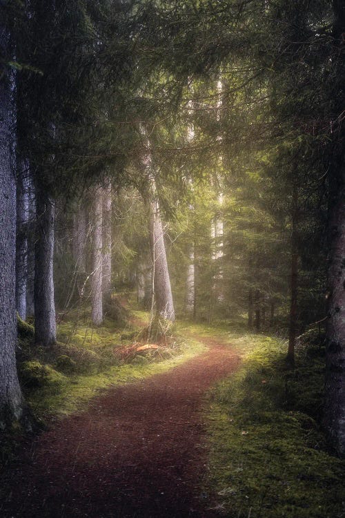 The Enchanted Path