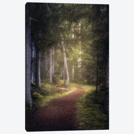 The Enchanted Path Canvas Print #FKS77} by Fredrik Strømme Art Print