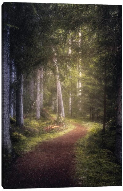 The Enchanted Path Canvas Art Print - Norway Art