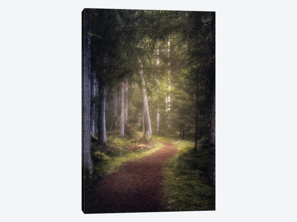 The Enchanted Path by Fredrik Strømme 1-piece Canvas Art