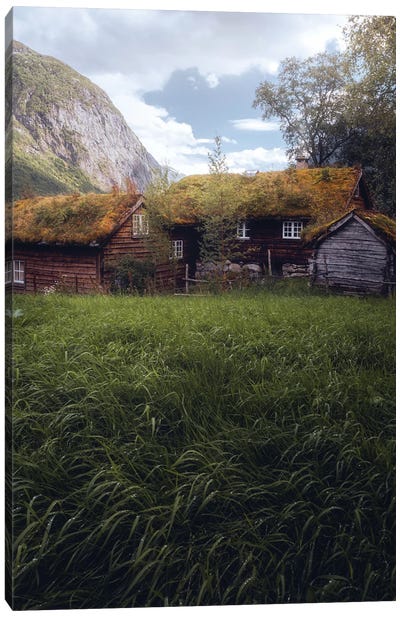 Summer At The Farm Canvas Art Print - Reclaimed by Nature