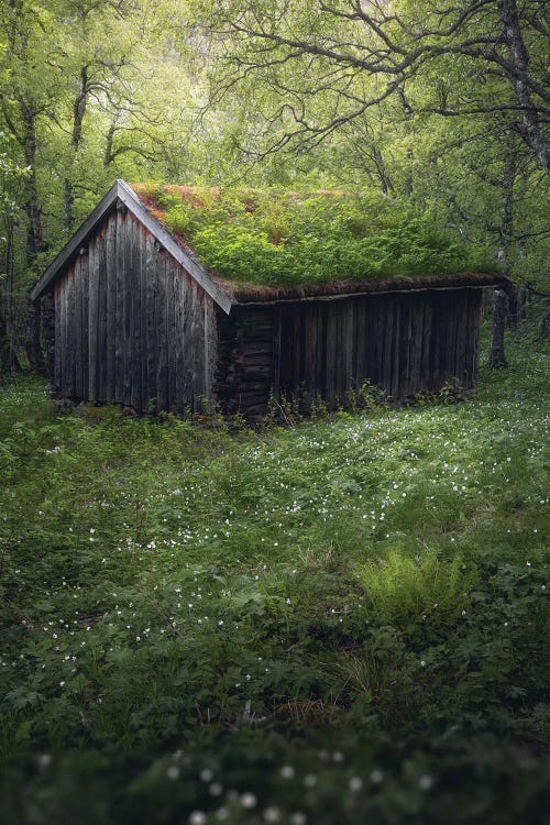 A Cabin In The Woods by Fredrik Strømme wall art