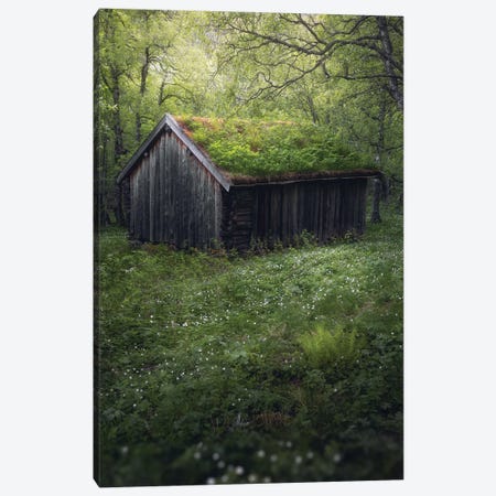 A Cabin In The Woods Canvas Print #FKS7} by Fredrik Strømme Canvas Print
