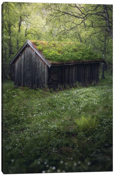 A Cabin In The Woods Canvas Art Print - Nature Lover