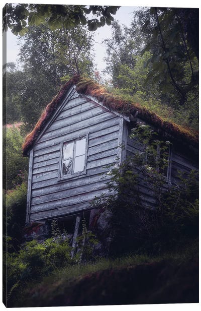 The Hidden Cabin Canvas Art Print - Fredrik Strømme
