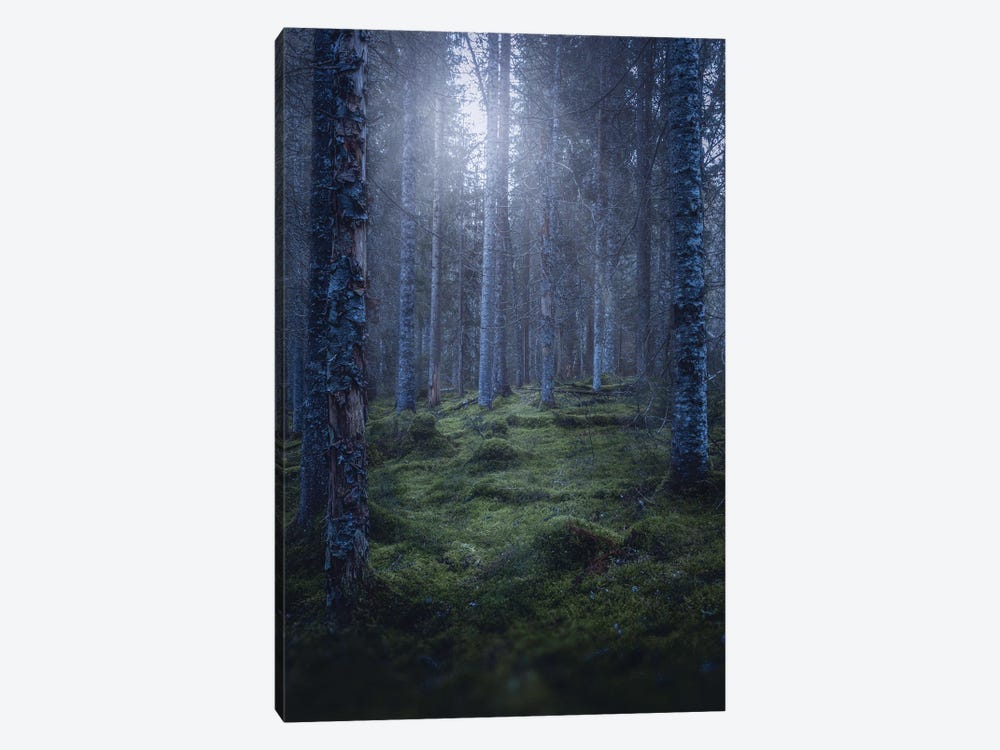 November Greens by Fredrik Strømme 1-piece Canvas Art Print