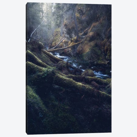 The Norwegian Jungle Canvas Print #FKS82} by Fredrik Strømme Art Print