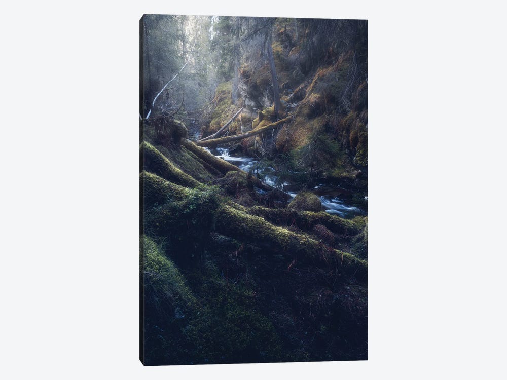 The Norwegian Jungle by Fredrik Strømme 1-piece Canvas Artwork