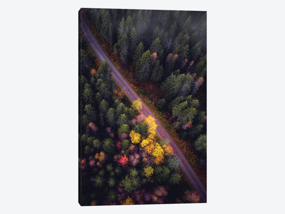Autumn From Above by Fredrik Strømme 1-piece Canvas Print