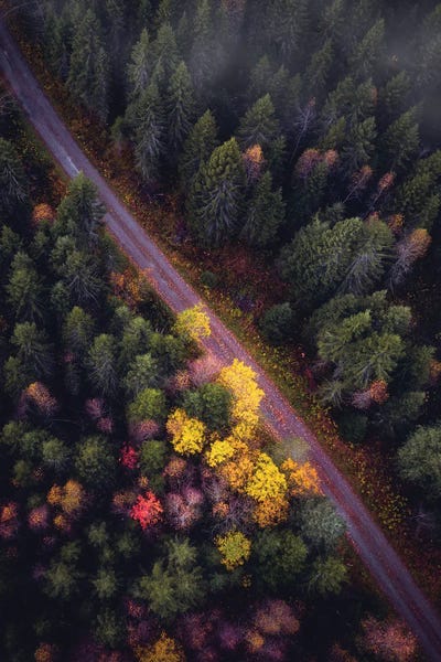 Fredrik Strømme: Autumn From Above by Fredrik Strømme
