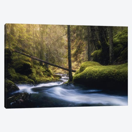 The Colors Of Spring Canvas Print #FKS84} by Fredrik Strømme Canvas Wall Art