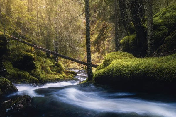 Norway: The Colors Of Spring by Fredrik Strømme