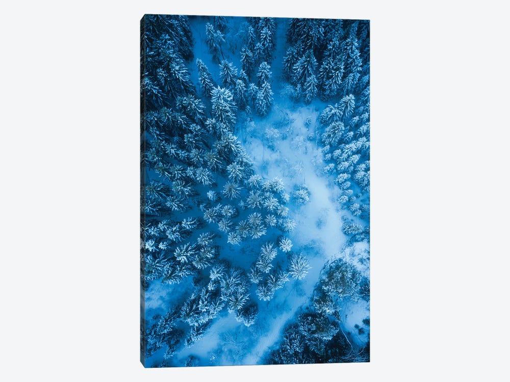 Mystic Forest by Fredrik Strømme 1-piece Canvas Art Print