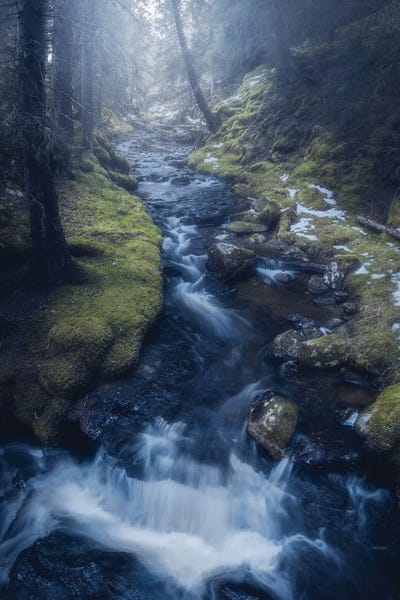 Norway: Spring Creek by Fredrik Strømme