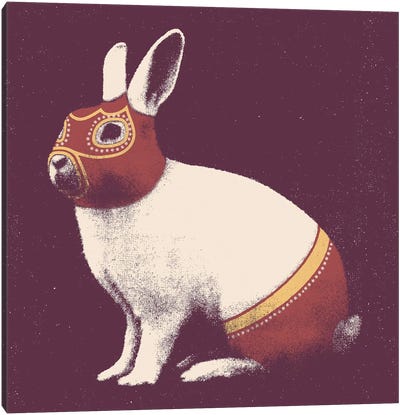 Rabbit Wrestler Square Canvas Art Print - Florent Bodart