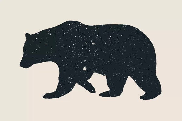 Florent Bodart: Bear by Florent Bodart