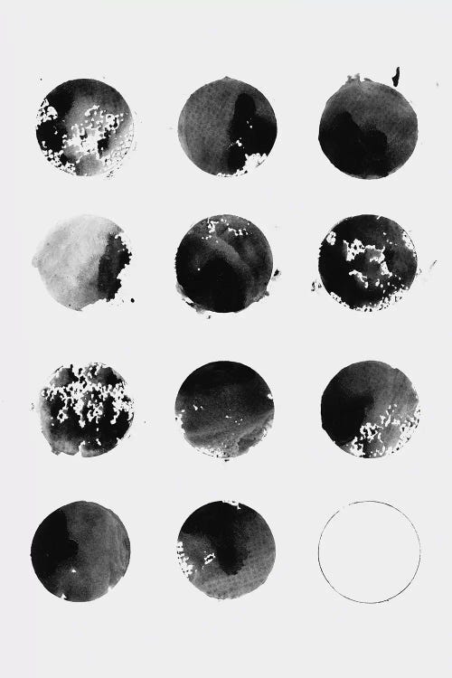 Twelve Moons in Black And White by Florent Bodart wall art
