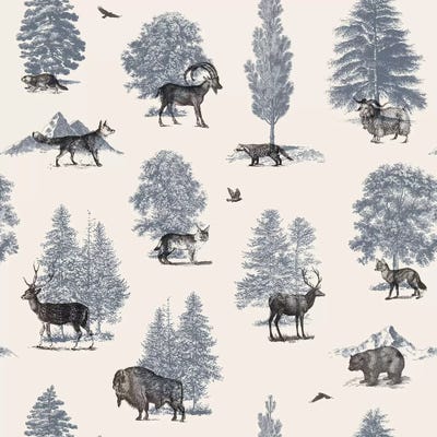 Where They Belong - Winter by Florent Bodart framed canvas print