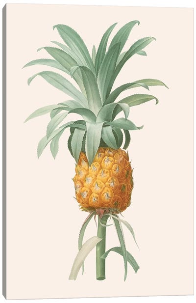 Ananas I Canvas Art Print - Food & Drink Still Life