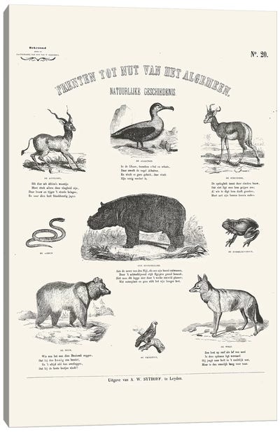 Animals Chart Canvas Art Print - Vintage Décor