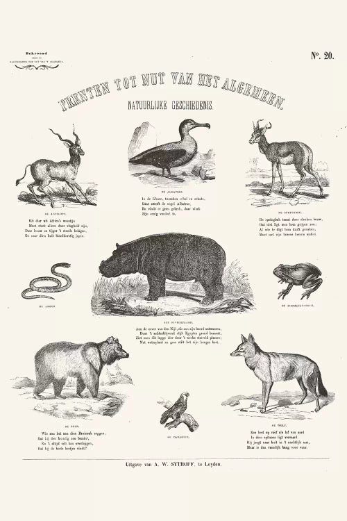 Animals Chart