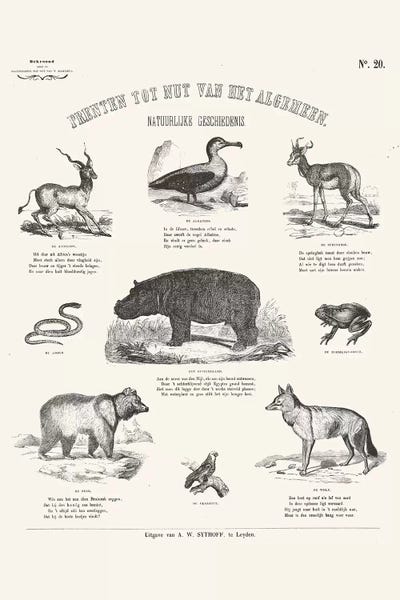 Florent Bodart: Animals Chart by Florent Bodart