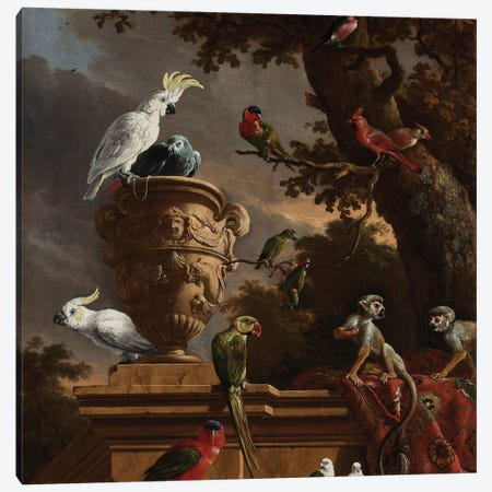 Birds and Monkeys Canvas Print #FLB119} by Florent Bodart Canvas Artwork