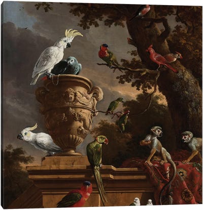 Birds and Monkeys Canvas Art Print - Florent Bodart