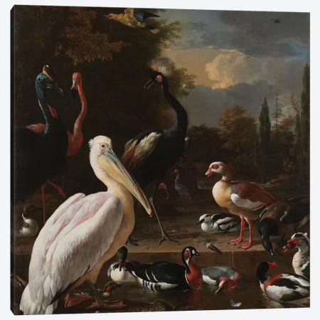 Birds in Pool Canvas Print #FLB120} by Florent Bodart Canvas Print